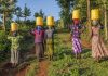 African women carrying water to their village, Kenya, Africa. African women and also children often walk long distances to bring back containers of water.