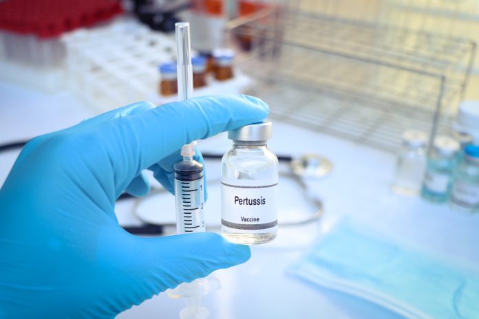 Pertussis vaccine in a vial, immunization and treatment of infection, scientific experiment