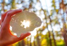 Wellbalance elevates coaching through the science of personalized wellbeing Hand holding a puzzle piece shaped like a brain, sunlight shining through in a forest setting.