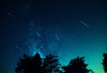 Milky Way stars with meteor shower trails and countryside tree silhouettes.