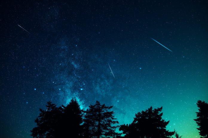Milky Way stars with meteor shower trails and countryside tree silhouettes.