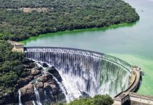 Roodeplaat dam is a well-known destination for bird watching, game viewing and a range of water sports including freshwater angling, located about 22km north-east of Pretoria.