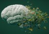 3D illustration of a human brain constructed from digital cubes dissolving into natural elements like flowers and greenery, symbolizing the fusion of technology and nature on a dark green background.