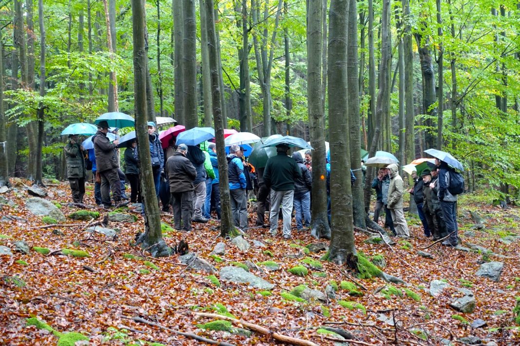 Face-to-face discussions in the frame of a workshop of the European Integrate Network in the Czech Republic with stakeholders from many different European countries – simultaneous translation was provided (photo by A. Rigling, ETH Zürich).