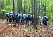 Face-to-face discussions in the frame of a workshop of the European Integrate Network in the Czech Republic with stakeholders from many different European countries – simultaneous translation was provided (photo by A. Rigling, ETH Zürich).