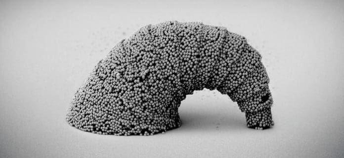 Low-Res_Nature Croissant SEM images of a dangling croissant-shaped microstructure with a 3D curved surface assembled from SiO2 particles. Credit © MPI-IS