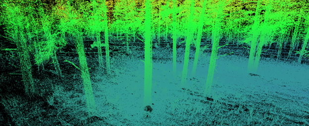 Partitioning 3D point clouds using an irregular grid simplifies tree segmentation in digital forests