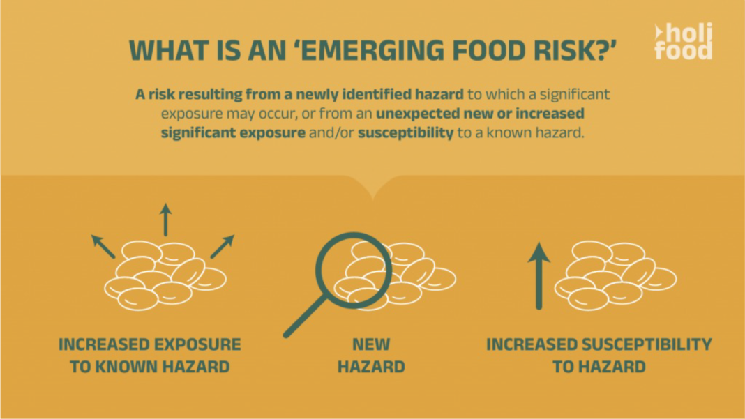 Figure 1. What is an ‘emerging food risk’?