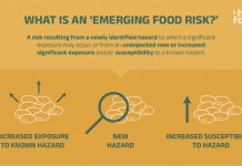 Figure 1. What is an ‘emerging food risk’?