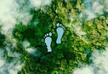 A lake in the shape of human footprints in the middle of a lush forest as a metaphor for the impact of human activity on the landscape and nature in general. 3d rendering.