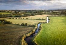 UK farming rules overhauled to cut water pollution and help farmers