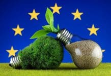 Green eco light bulb with grass, plant growing inside the light bulb, and European Union Flag. Renewable energy. Electricity prices, energy saving in the household.
