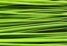 Close-up of a bunch of chives laying down. stock photo