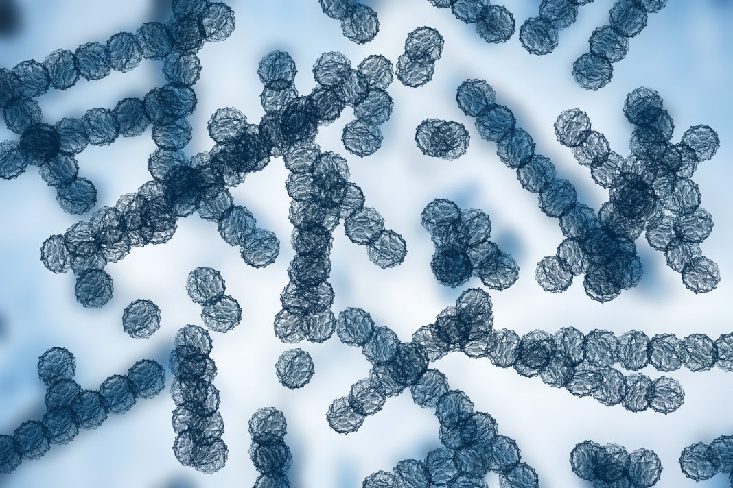 A detailed microscopic image showing Candida auris cells with a textured, spherical appearance in blue tones on a light background.