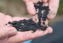 Close-up of biochar, produced through wood pyrolysis
