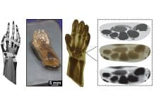 1 / 1Using an affordable 3D printer and the CRAFT method, researchers created a model human hand from a single feedstock with distinct domains that mimic the hardness or flexibility of skin, ligaments, tendons and bones. Credit ©: University of Texas at Austin