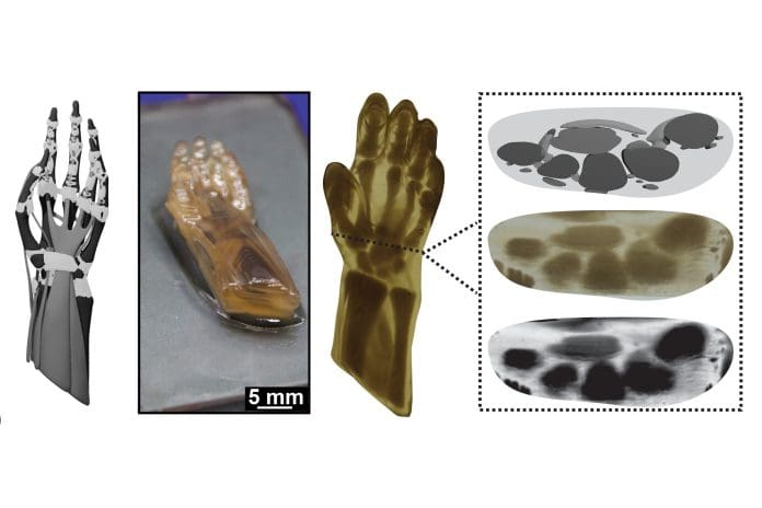 1 / 1Using an affordable 3D printer and the CRAFT method, researchers created a model human hand from a single feedstock with distinct domains that mimic the hardness or flexibility of skin, ligaments, tendons and bones. Credit ©: University of Texas at Austin