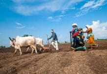 Indigenous land: The climate future lives here