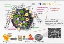 Hierarchical porous biochar with Fe/Zn co-activation derived from orange waste: enhanced methylene blue adsorption and mechanistic insights Image Credit © Lei Zhang, , Xin Liu, Wenbo Liu, Hongying Du & Junkang Guo