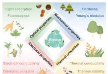 Unraveling the physical genome of biochar image: © Yating Ji, Donald W. Kirk, Zaisheng Cai, , & Charles Q. Jia