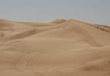 The sand deserts in the oil-rich Gulf countries present a practical paradox: though surrounded by almost boundless swathes of desert sand, much of it is not suitable for farming due to lack of water. Credit Abdul Wahid Muhammad Ikram