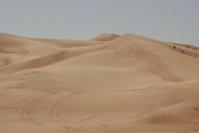 The sand deserts in the oil-rich Gulf countries present a practical paradox: though surrounded by almost boundless swathes of desert sand, much of it is not suitable for farming due to lack of water. Credit Abdul Wahid Muhammad Ikram