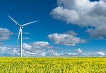Wind turbines in a canola field in bloom outside of Swift Current, Saskatchewan, Canada