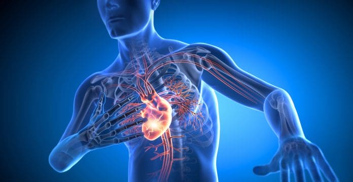 X-ray 3D illustration of man with chest pain with blue background - heart attack